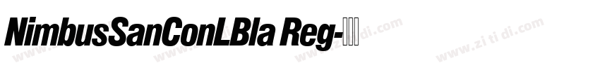 NimbusSanConLBla Reg字体转换